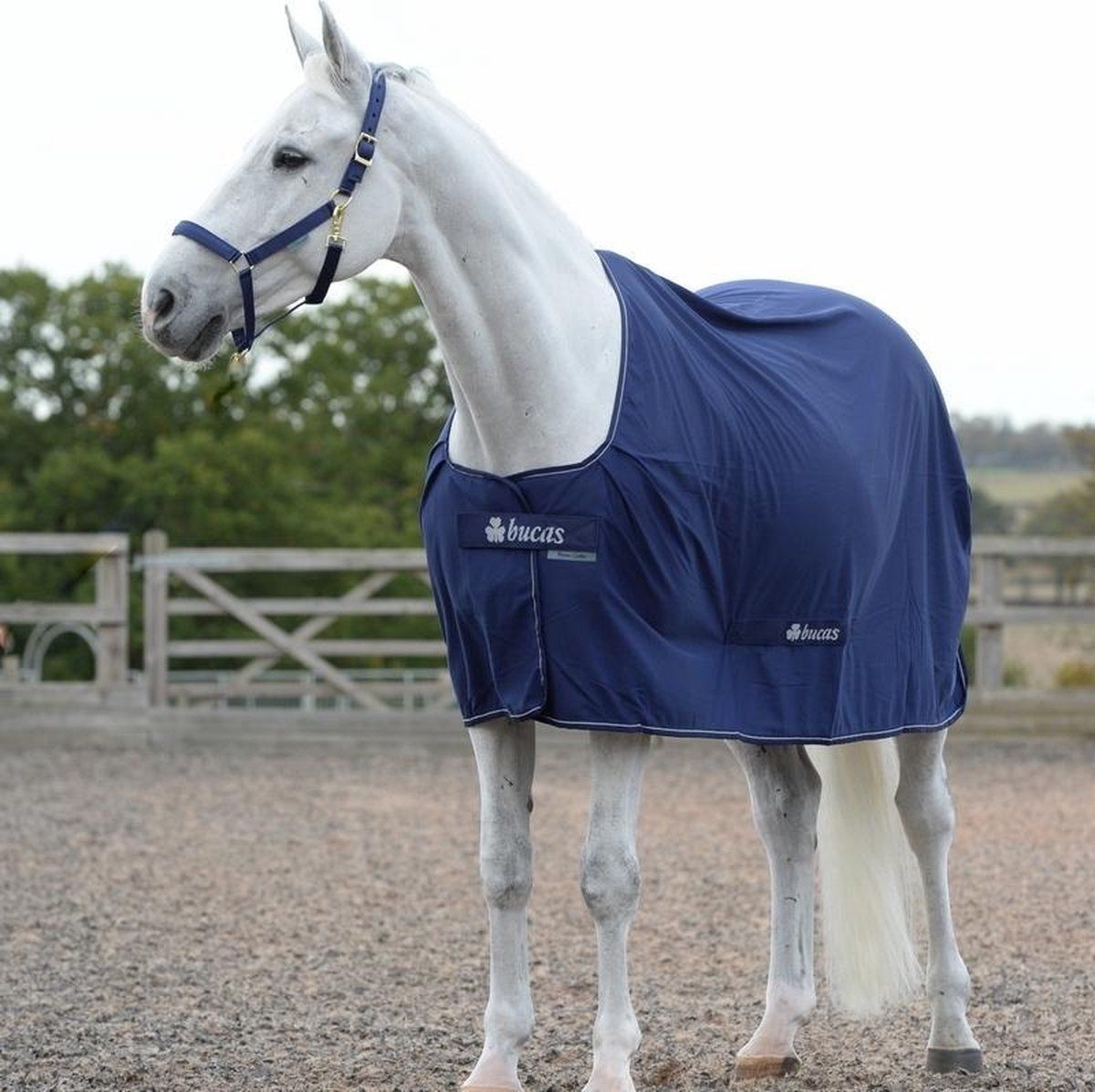 Bucas Shamrock Power 168 Navy Zilver - Regendeken