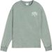 PUMA CLASS Comfort Washed Crew TR Dames sporttrui - Green Moon