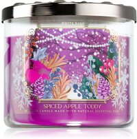 Bath & Body Works Spiced Apple Toddy