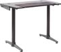 X Rocker Panther Gaming Bureau - Carbon Look - Height Adjustable