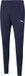 Puma teamRISE Poly Trainingsbroek Heren - Maat S