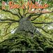 Plenty Gifts Bos en Natuur Kalender 2027