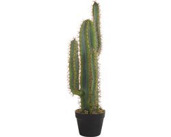 Beliani CACTUS - Kunstplant - Groen - Kunststof