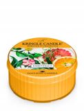 Kringle Candle Essentials Daylight Geurkaars - Fruitig & Fris