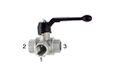 RIEGLER 103382-1081 H 3-weg kogelkraan, standaard, L-boring, messing vern., Rp 2, DN 50, 1 st