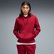 PUMA Essentials No. 1 Lgo sweat à capuche en polaire pour hommes XXL, Garnet Glow Rouge