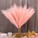 Ibenzoa® Pampasgras artificiel – 30 pièces plumes de pampa roses, fleurs séchées sans entretien pour décoration bohème, tiges en fil de fer et tissu de soie de haute qualité