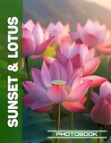 Sunset & Lotus Photo Book | Lotus Flowers Radiate Peace Against Vibrant Sunset Backdrop In Nature Photography