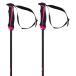Volkl Phantastick Femme Pôles