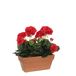 Mica Decorations Kunstplanten - Geranium Rood 40 cm