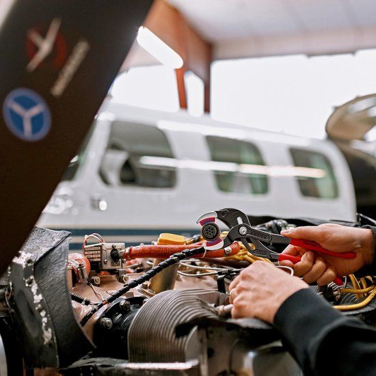 Knipex 81 11 250 Sani-Grijptang - 250mm