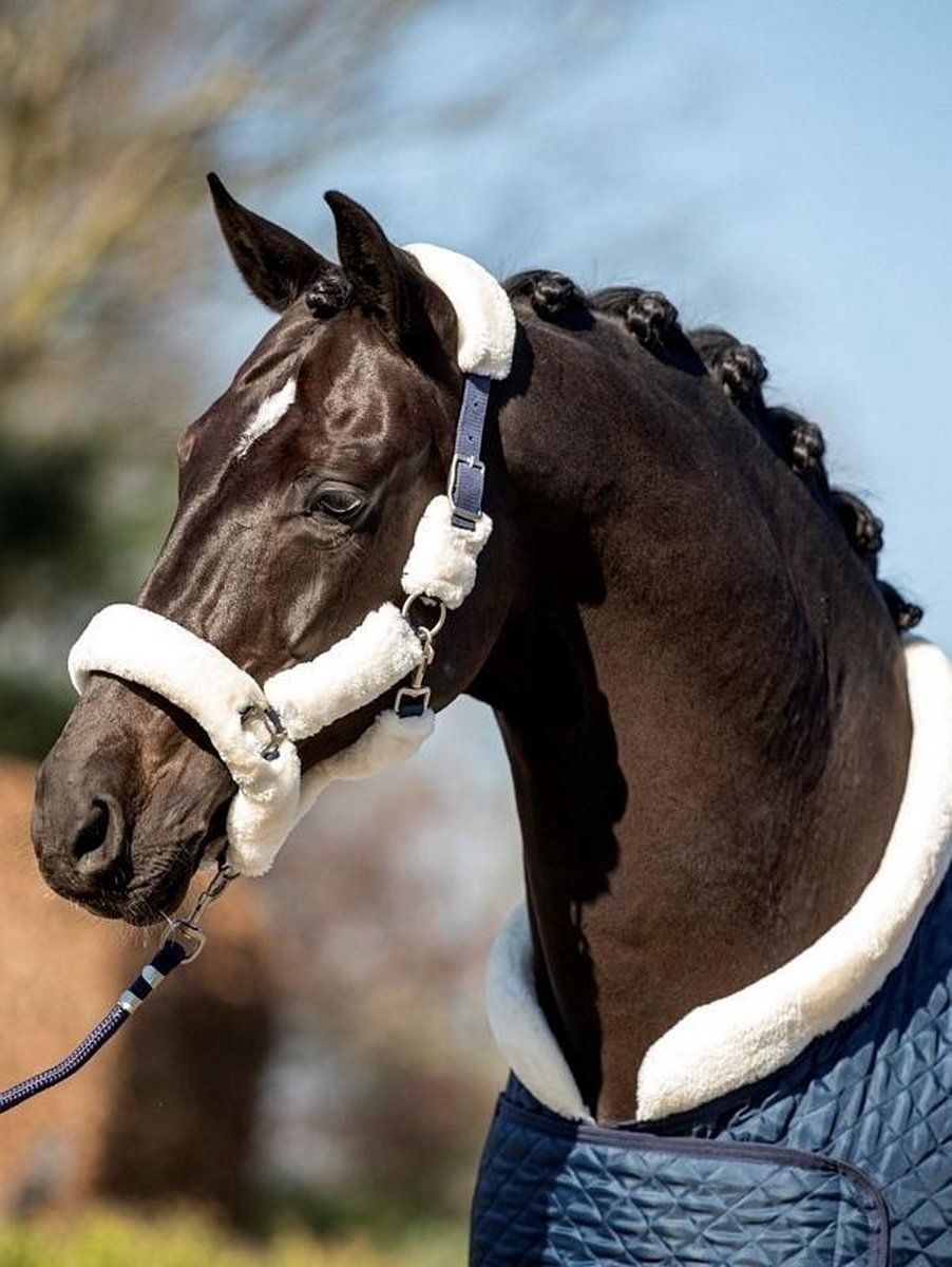 HB Halster Fluffy Steelblue