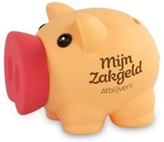 Miko Products Spaarvarkentje - Mijn zakgeld afblijven