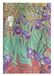 Varzi Dal 1956 Paperblanks 2024 Dagboek Mini Horizontaal Iris van Van Gogh 9,5 x 14 cm Italiaanse versie