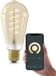 Calex Slimme LED Lamp - E27 - Wifi Verlichting - Filament - ST64 - Smart Lichtbron Goud - Dimbaar - Warm Wit licht - 7W