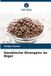 Genetische Verlag Unser Wissen Genetische Divergenz im Niger Paperback