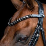 Imperial Riding IRHClincher Hoofdband van leer met metalen clincher en glazen strass-steentjes, stiftsluiting, zwart, kob