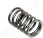 BPC Parts Jeu de ressorts de soupape adapté pour YANMAR L100 (114310-11120)
