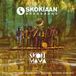 Sonic Rendezvous Skokiaan Brass Band - Skoki Mama (LP)