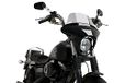 Puig 21050H Windscherm Batwing SML Touring Gerookt