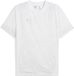 Puma TeamCUP trainingsshirt 659167 Heren XL Katoen/Polyester Wit/Zilver/Grijs