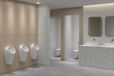 Ideal Standard E7723 Toilet Wit