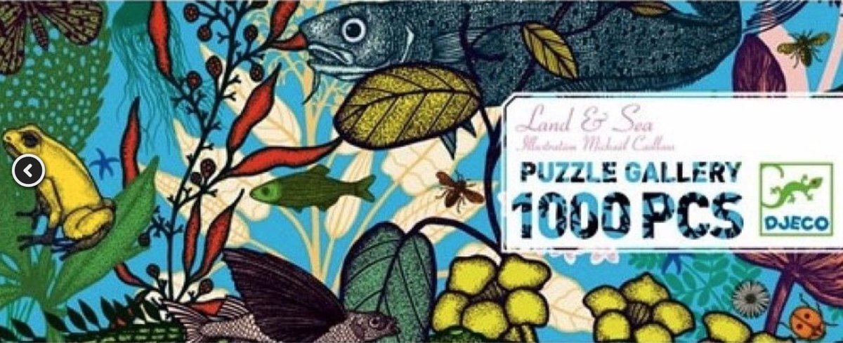 djeco - Puzzel - Land and Sea - 1000 stukjes