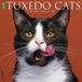 Willow Creek Tuxedo Katten Kalender 2027 Wandkalender Dieren nl