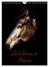 Chevaux Calvendo Chevaux en Portraits (Calendrier mural 2027 DIN A4 horizontal), CALVENDO calendrier mensuel