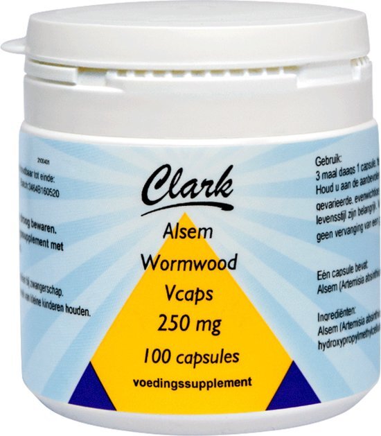 Holisan Alsem Wormwood Vegetarische Capsules 100st