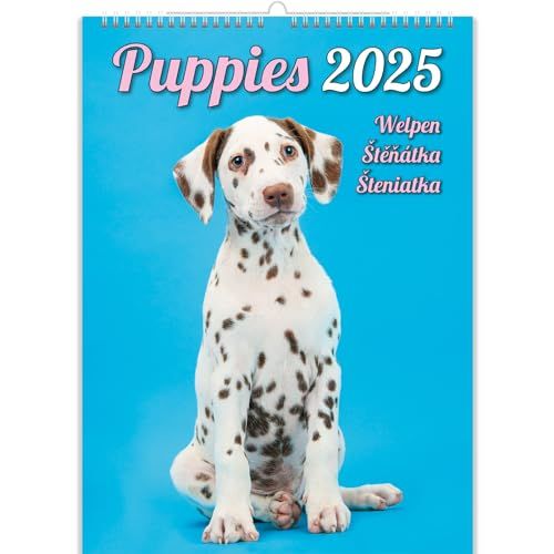 Puppykalender 2024
