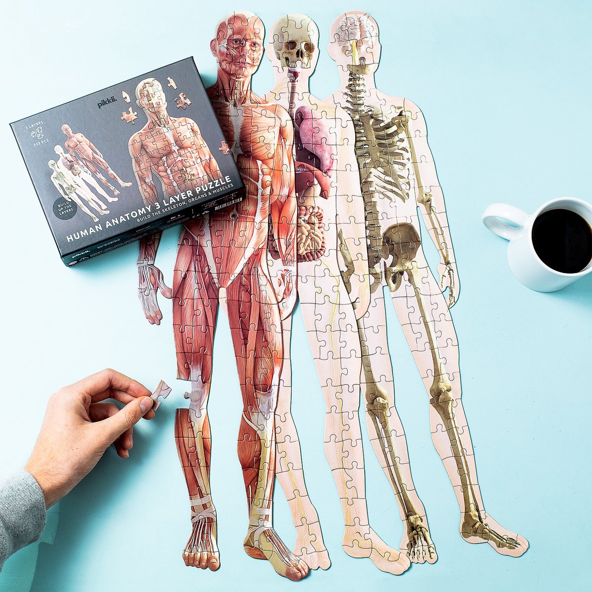 PIKKII Menselijke Anatomie Puzzel (303 Stukjes)