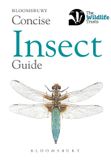 Concise Bloomsbury Concise Insect Guide