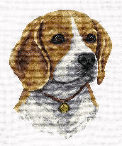 Panna Beagle Cross Stitch Kit, meerkleurig, 20 x 25cm