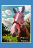 Princess Nuzzles