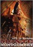 Bertus Distributie Mascot / Provogue Music Productions At Workplay: Live DVD