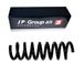 JP GROUP Fahrwerksfeder 1352203500 Hinterachse