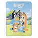 Northwest Bluey Micro Raschel Gooi Deken, 46" x 60", Familie Foto