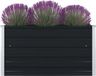 vidaXL Plantenbak verhoogd 100x100x45cm gegalvaniseerd staal antraciet