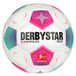 Derbystar Bundesliga Club S-Light v23 Voetbal