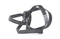 CONTITECH 6PK2490 V-riem