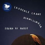 Sound Asamisimasa - Sound Of Horse - Songs Of Laurence Crane (2 LP)