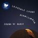 Sound Asamisimasa - Sound Of Horse - Songs Of Laurence Crane (2 LP)