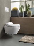 Geberit Sigma 21 drukplaat chroom-betonlook tbv UP720, UP320 en UP300