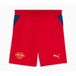 PUMA RB Leipzig 26/27 short, Blauw/Rood, Maat 15-16Y