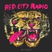 Skytigers Red City Radio - Sky Tigers (LP)