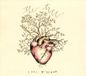 Membran 17% Fee Lori McKenna The Tree