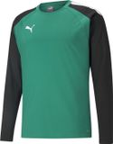 Puma Teamliga Sweater Kinderen - Groen