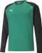 Puma Teamliga Sweater Kinderen - Groen
