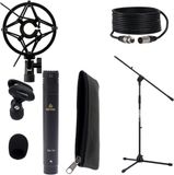 Devine SM100 Set d'enregistrement instrument